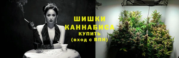 сатива Богородицк