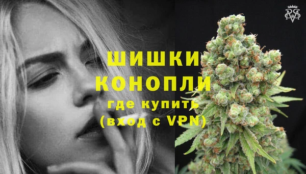 сатива Богородицк