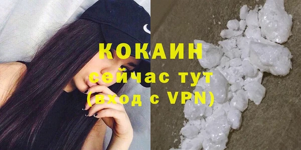 сатива Богородицк