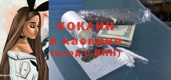 сатива Богородицк